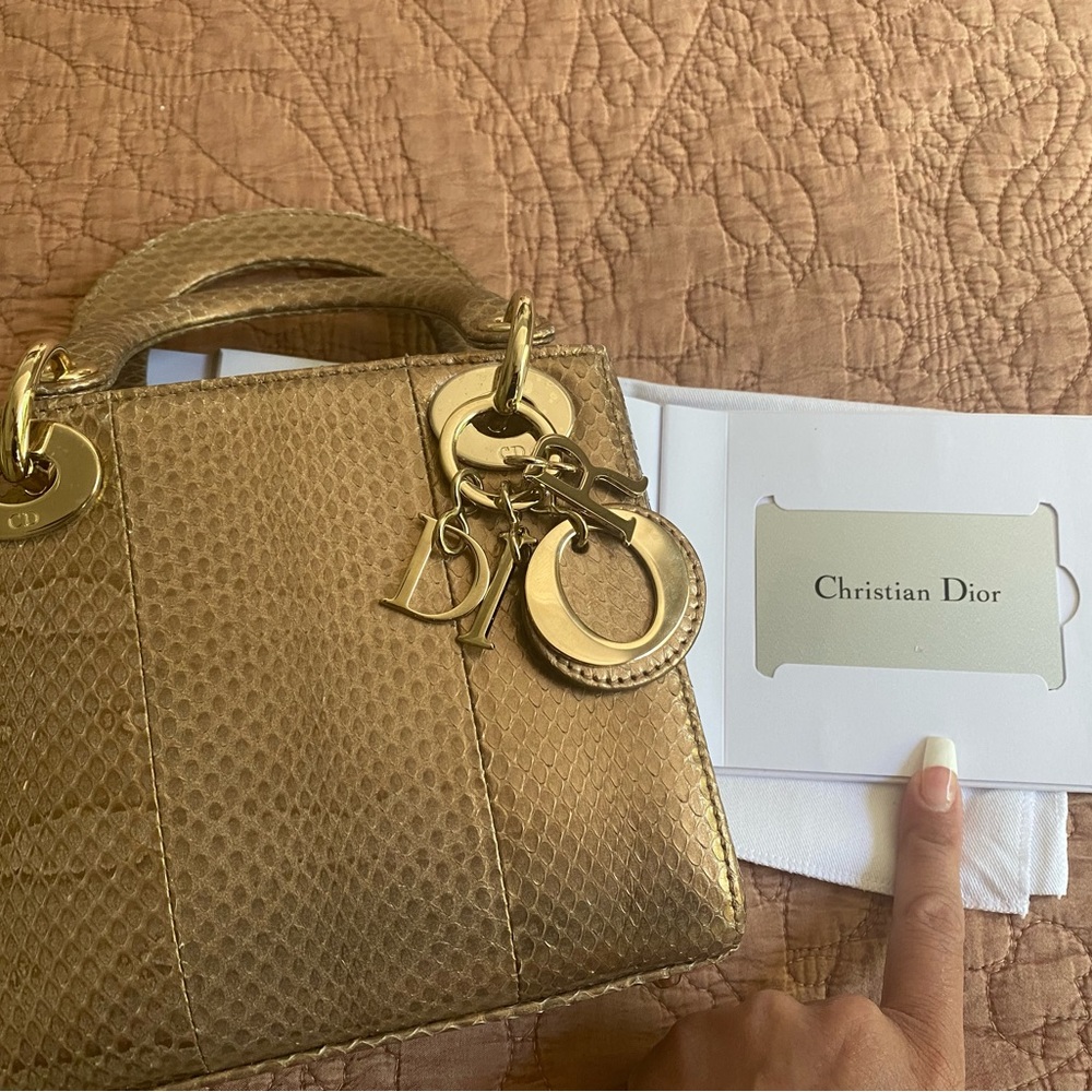 Mini Lady Dior bag - exotic collection